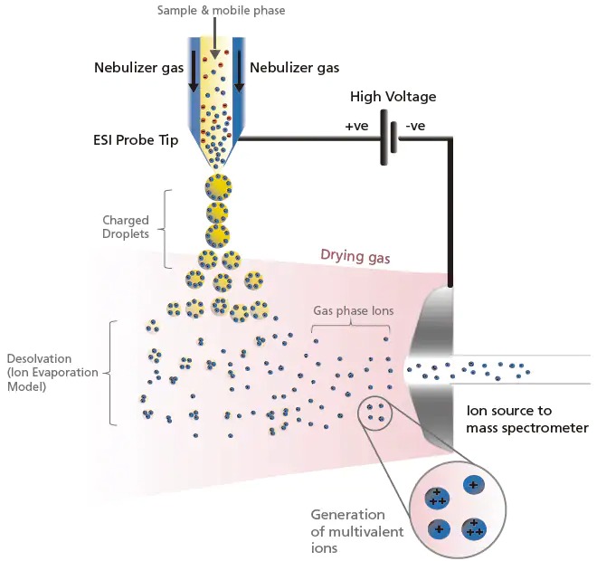 Interfaces for LCMS Shimadzu SOPS